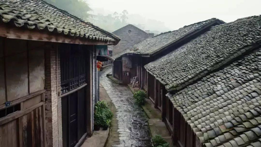 春雨直播app